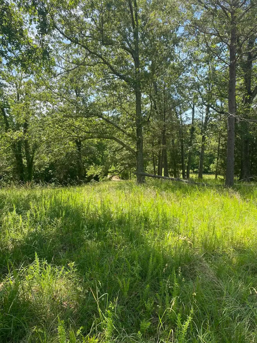 000 TODD LN, Bolivar, TN 38008 - Image #3