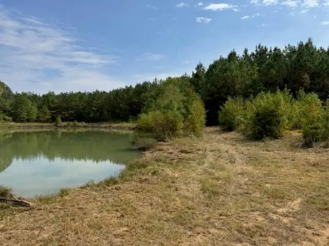 370 DOYLE RD, Middleton, TN 38052 - Image #3