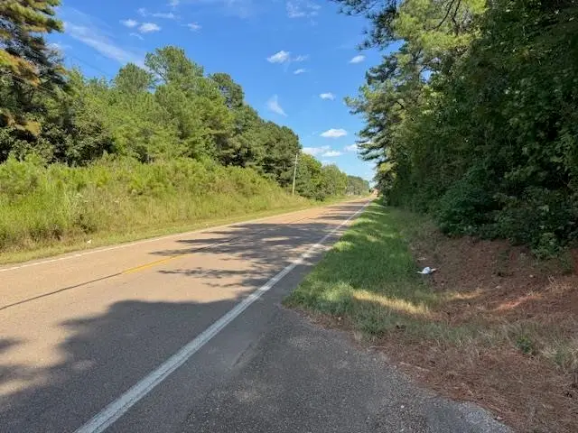 57 HWY, Grand Junction, TN 38039 - Image #2