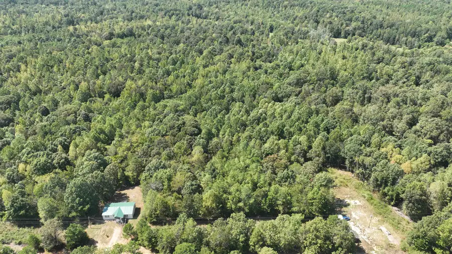 0 C ALLEN LN, Middleton, TN 38052 - Image #2