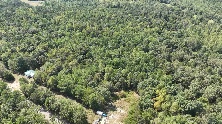 0 C ALLEN LN, Middleton, TN 38052 - Image #3