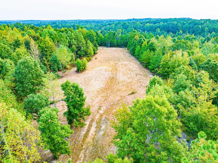 211 N LITTLE HOUSE RD, Camden, TN 38320 - Image #2