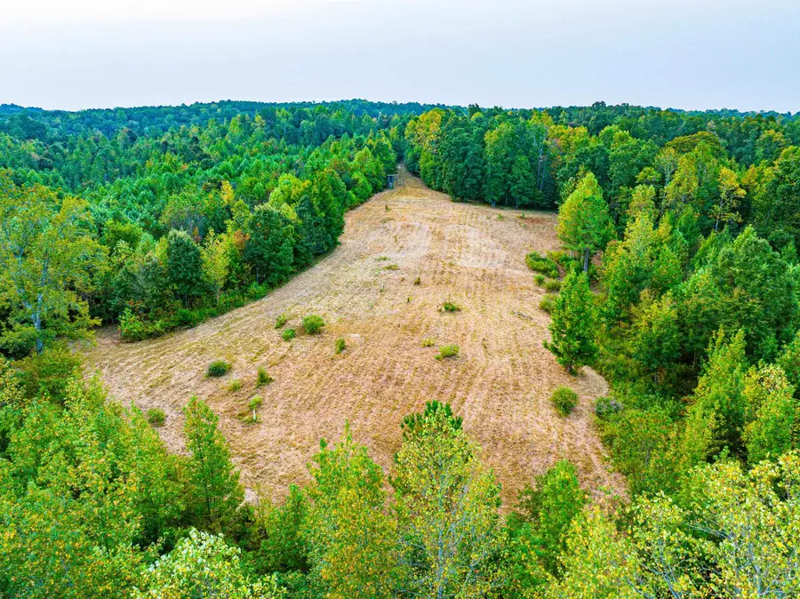 211 N LITTLE HOUSE RD, Camden, TN 38320 - Image #3