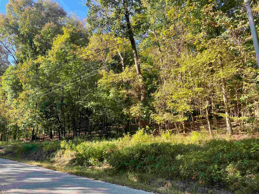 LOT 50 CROW LN, Bath Springs, TN 38311 - Image #3