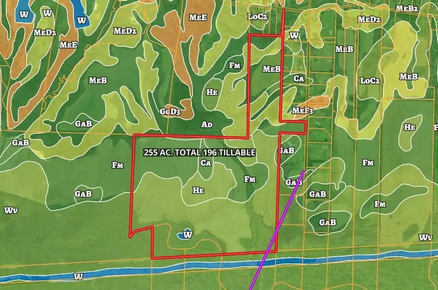 255 CEDAR GROVE DR, Arlington, TN 38002 - Image #3