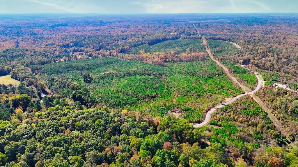 0 GEORGE WEST RD #Lot 10, Middleton, TN 38052 - Image #1