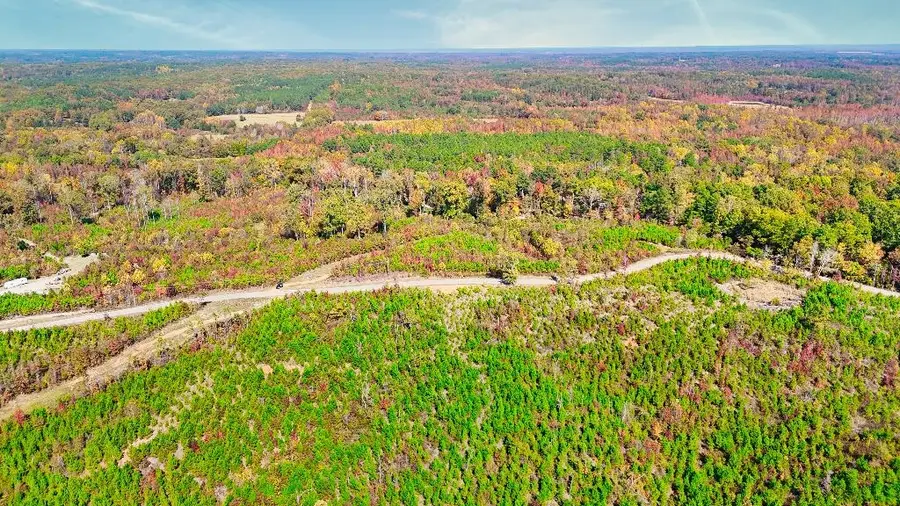 0 GEORGE WEST RD #Lot 10, Middleton, TN 38052 - Image #3