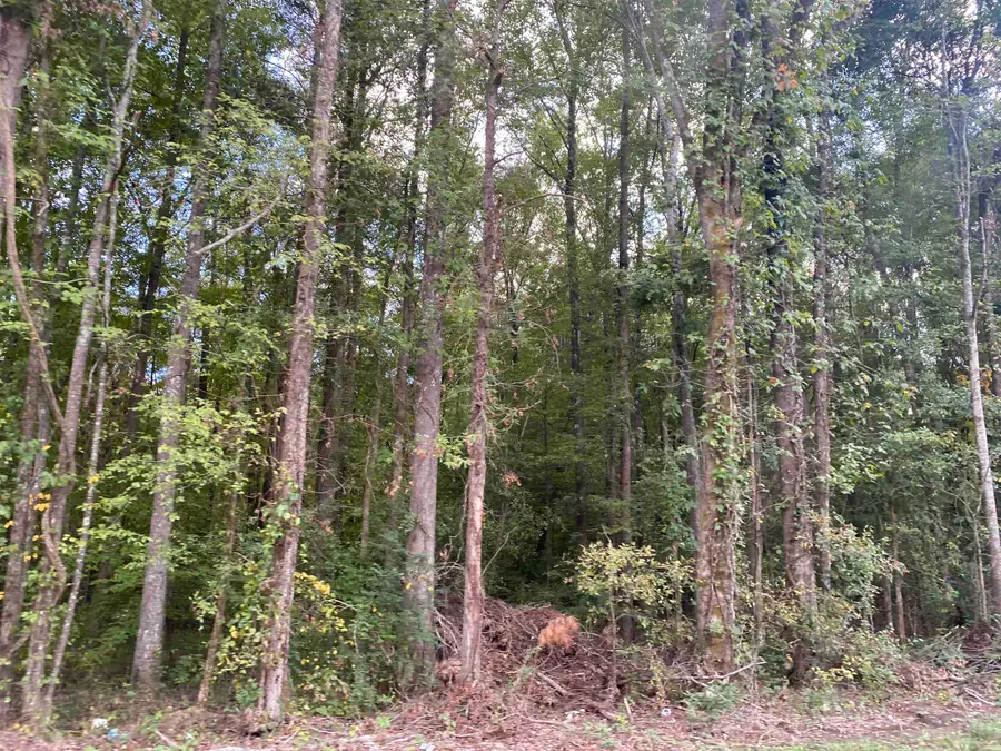 1 69 HWY, Milledgeville, TN 38359 - Image #3