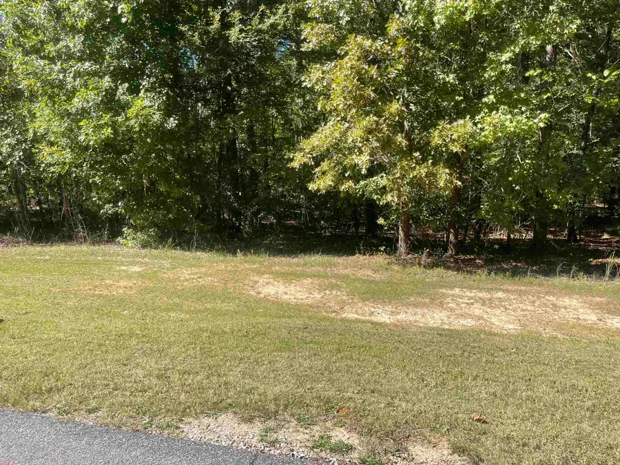 LOT 255 OLD SOUTH RD, Counce, TN 38326 - Image #2