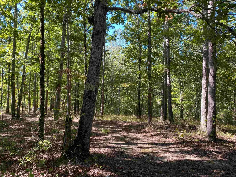 1 LAKEWAY LN, Savannah, TN 38372 - Image #2