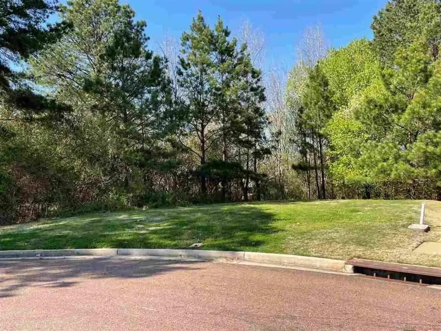 10094 BUSHROD CV, Collierville, TN 38017 - Image #2