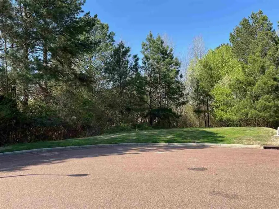 10094 BUSHROD CV, Collierville, TN 38017 - Image #3