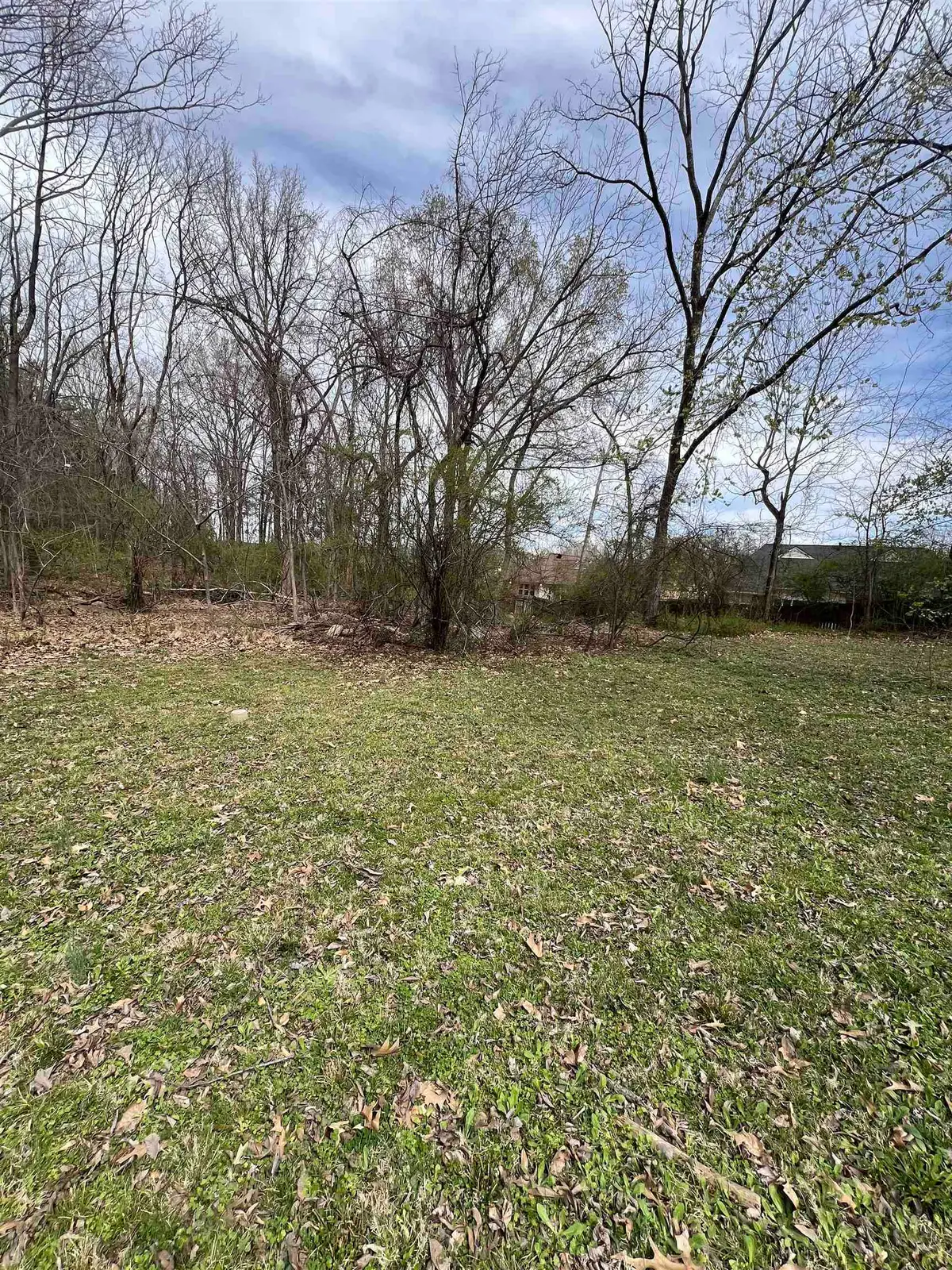 4382 ELLENDALE RD, Bartlett, TN 38135 - Image #1