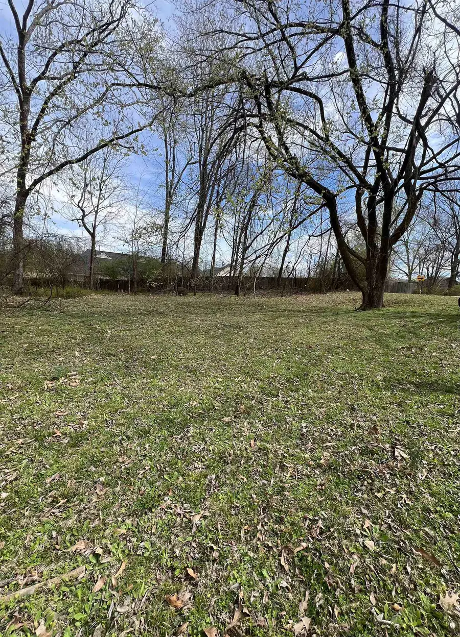 4382 ELLENDALE RD, Bartlett, TN 38135 - Image #2