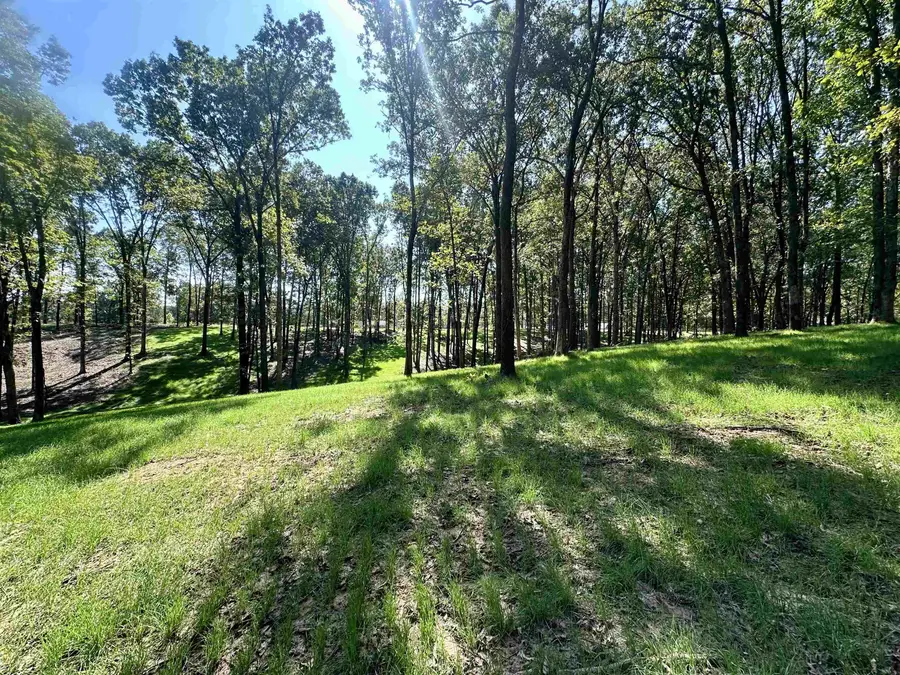 4 VALE RD, Somerville, TN 38068 - Image #3