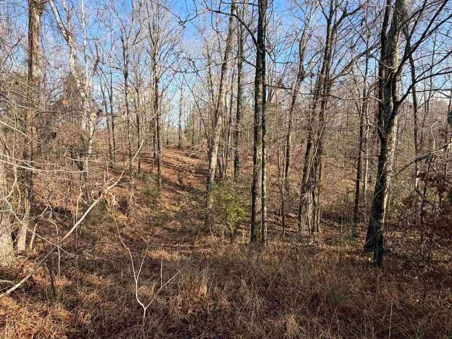 2665 YAGER DR, Moscow, TN 38057 - #3