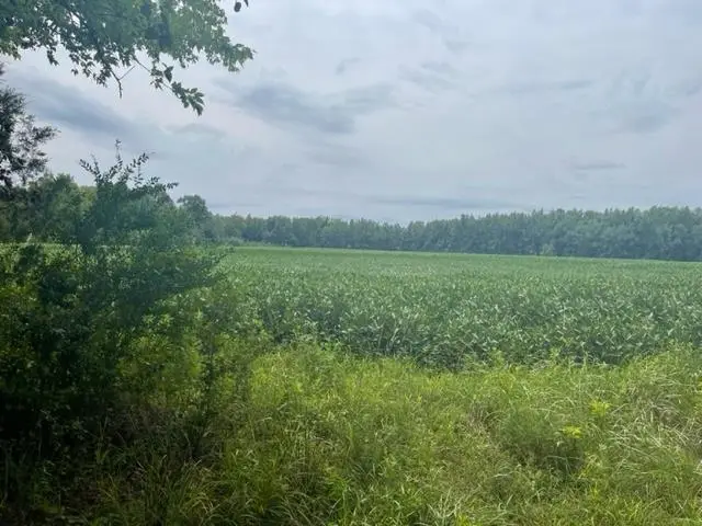 0 OSCAR LANE LN, Middleton, TN 38052 - Image #2