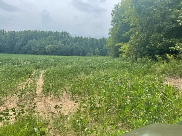 0 OSCAR LANE LN, Middleton, TN 38052 - Image #3