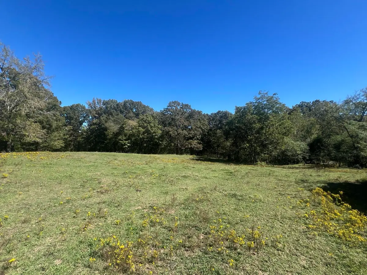 0 WALLS RD, Somerville, TN 38068 - Image #1