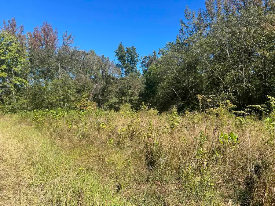 0 WALLS RD, Somerville, TN 38068 - Image #3