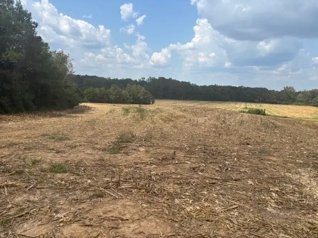 0 BASS RD, Middleton, TN 38052 - Image #3