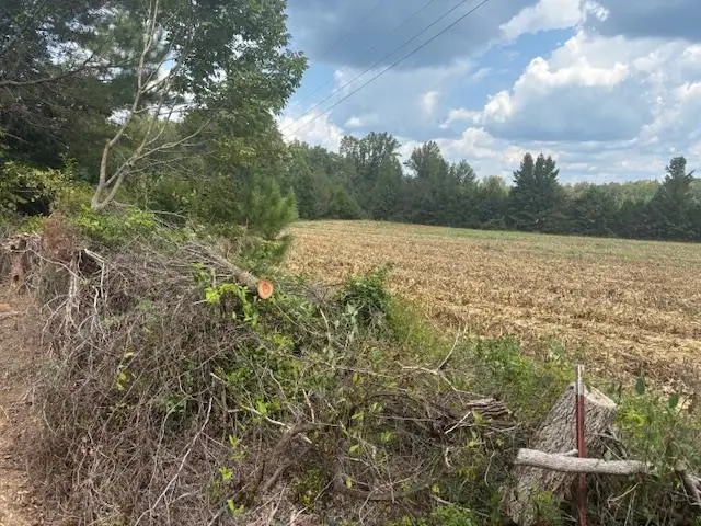 0 REAVES RD, Middleton, TN 38052 - Image #2