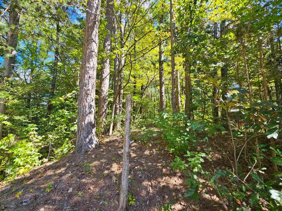 REDWOOD CV WR C46 DR, Middleton, TN 38052 - Image #2