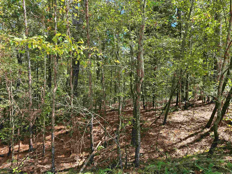 REDWOOD CV WR C46 DR, Middleton, TN 38052 - Image #3