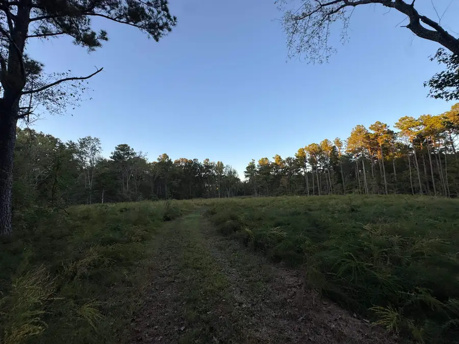 11160 WEXFORD DR, Eads, TN 38028 - Image #2