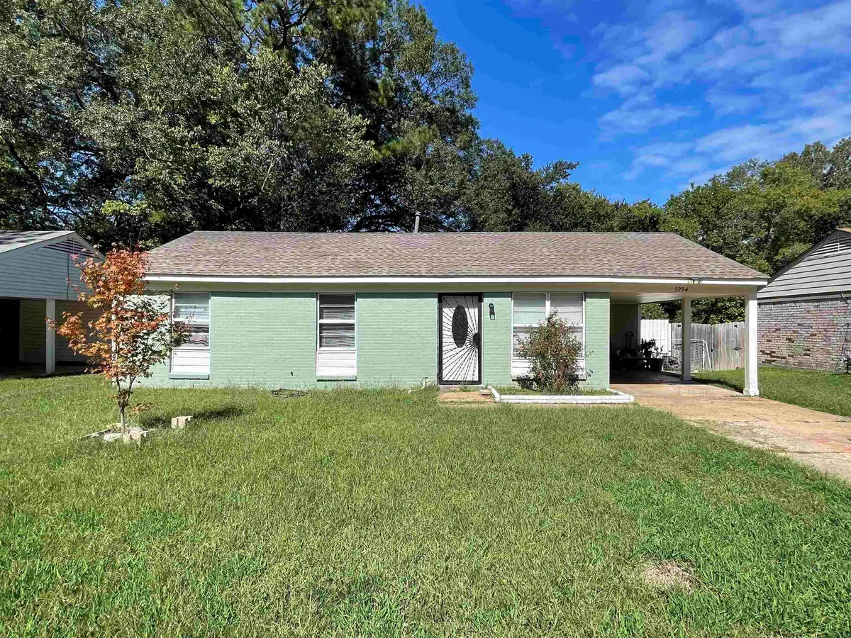 3284 VALLEY STREAM CV, Memphis, TN 38128 - Image #1