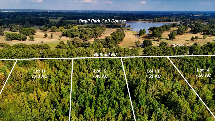 0 BETHUEL RD #Lot 11, Millington, TN 38053 - Image #3