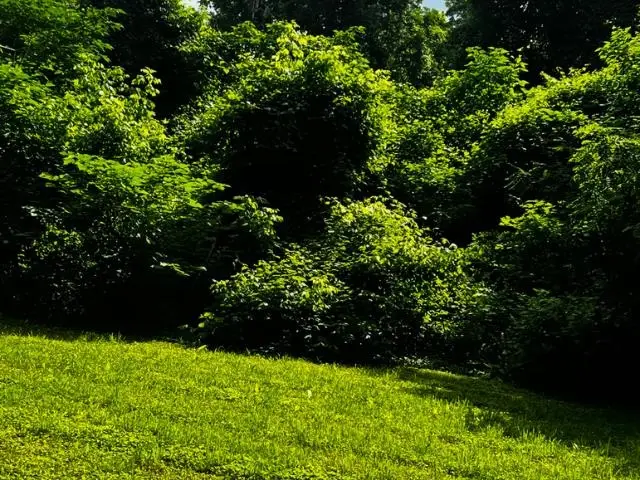 0 RIVERSIDE DR, Memphis, TN 38109 - Image #1