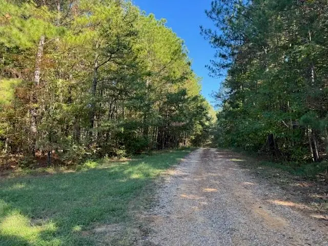WALNUT GROVE RD, Bolivar, TN 38008 - Image #3