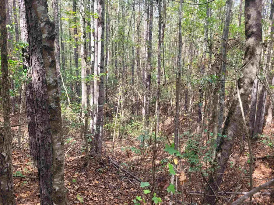 00 COREAN LN, Morris Chapel, TN 38361 - Image #2