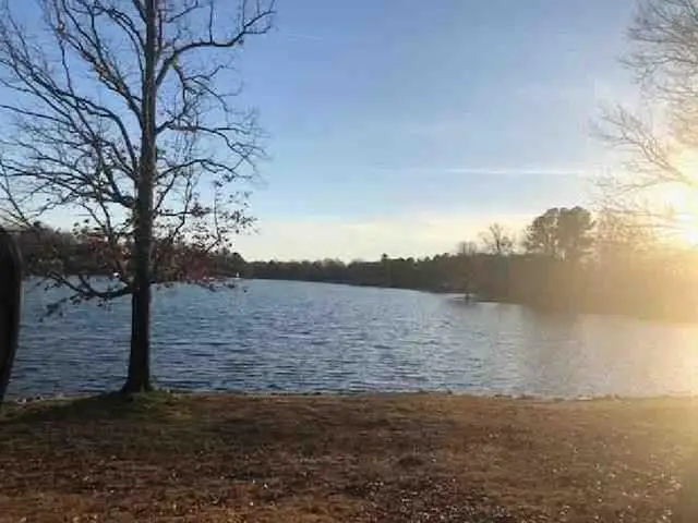 9640 LOU-JAN CSWY, Lakeland, TN 38002 - Image #3