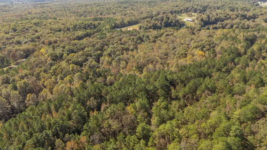 0 CLIFFTVIEW RD, Bolivar, TN 38008 - Image #3