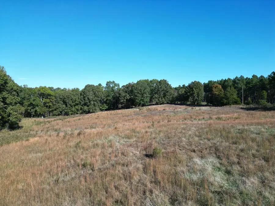 0 WHITES CREEK RD, Savannah, TN 38372 - Image #3
