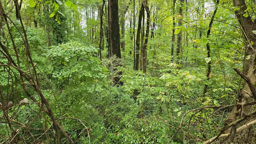 0 CLOWER RD, Memphis, TN 38109 - Image #3