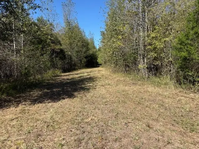 83 HAYS RD, Moscow, TN 38057 - Image #2