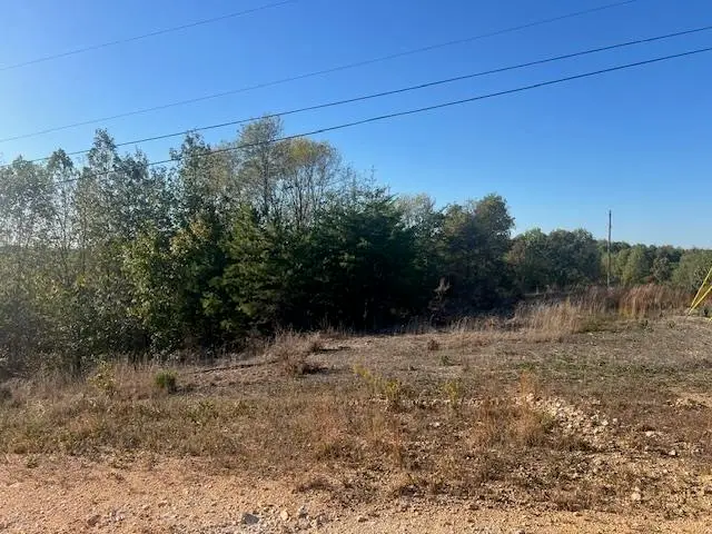 44 JAMES RIDGE RD, Clifton, TN 38425 - Image #3