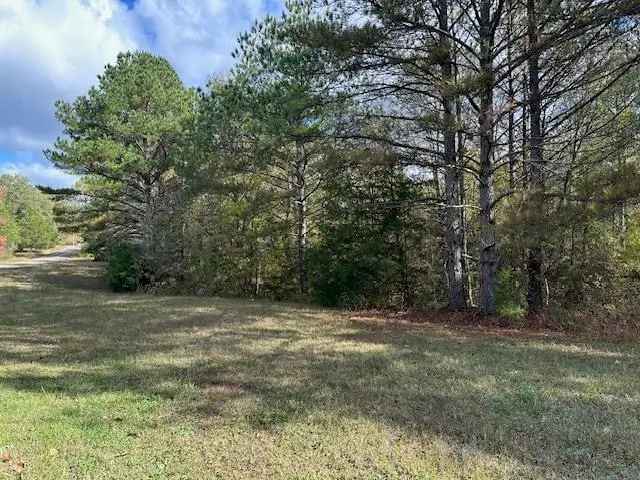 00 RAYMOND MCANALLY RD, Savannah, TN 38372 - Image #1