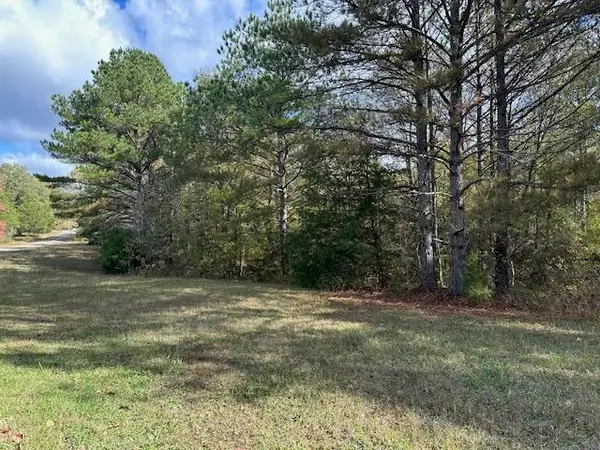 00 RAYMOND MCANALLY RD, Savannah, TN 38372