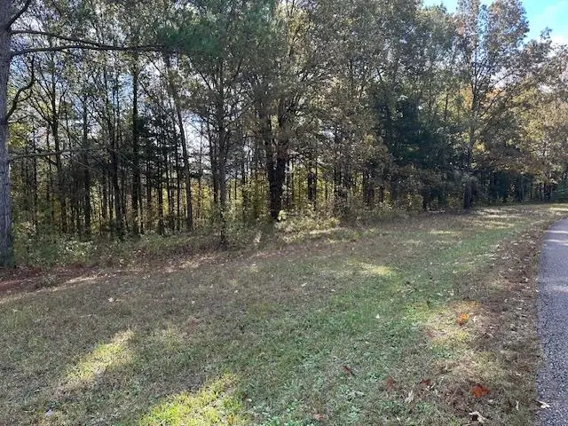 00 RAYMOND MCANALLY RD, Savannah, TN 38372 - Image #3