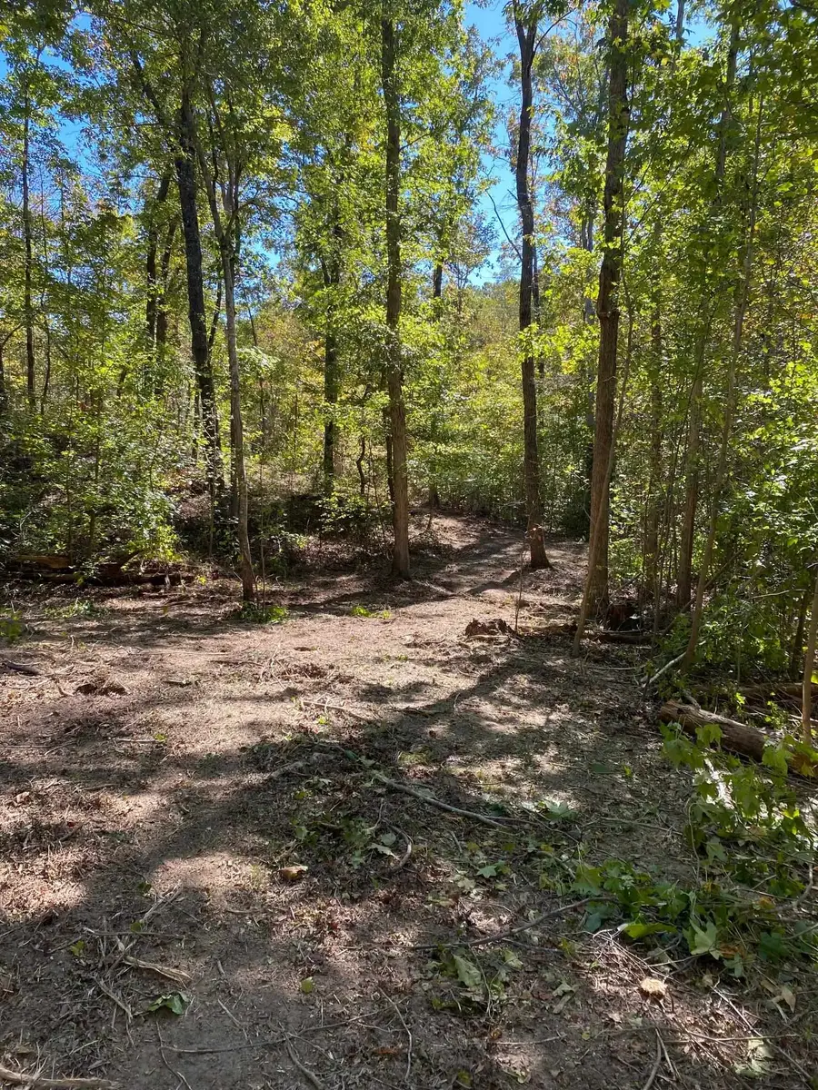 HUGHES RD, Henderson, TN 38340 - Image #2