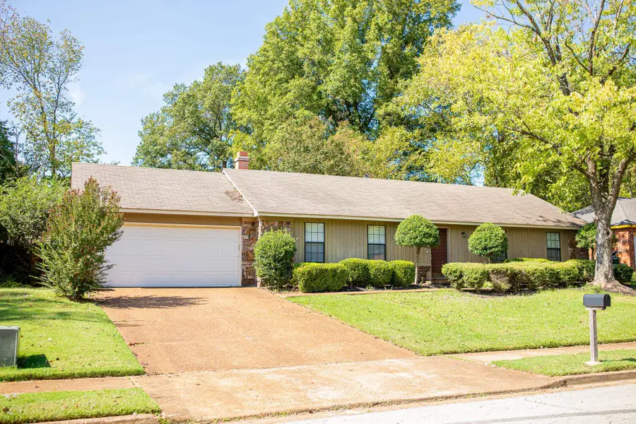 3831 INNSBROOK DR, Memphis, TN 38115 - Image #3