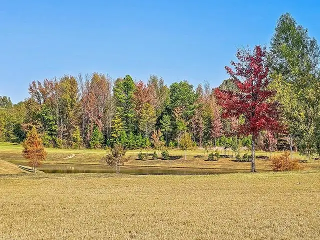 834 CYPRESS ROCK CV, Collierville, TN 38017 - Image #2