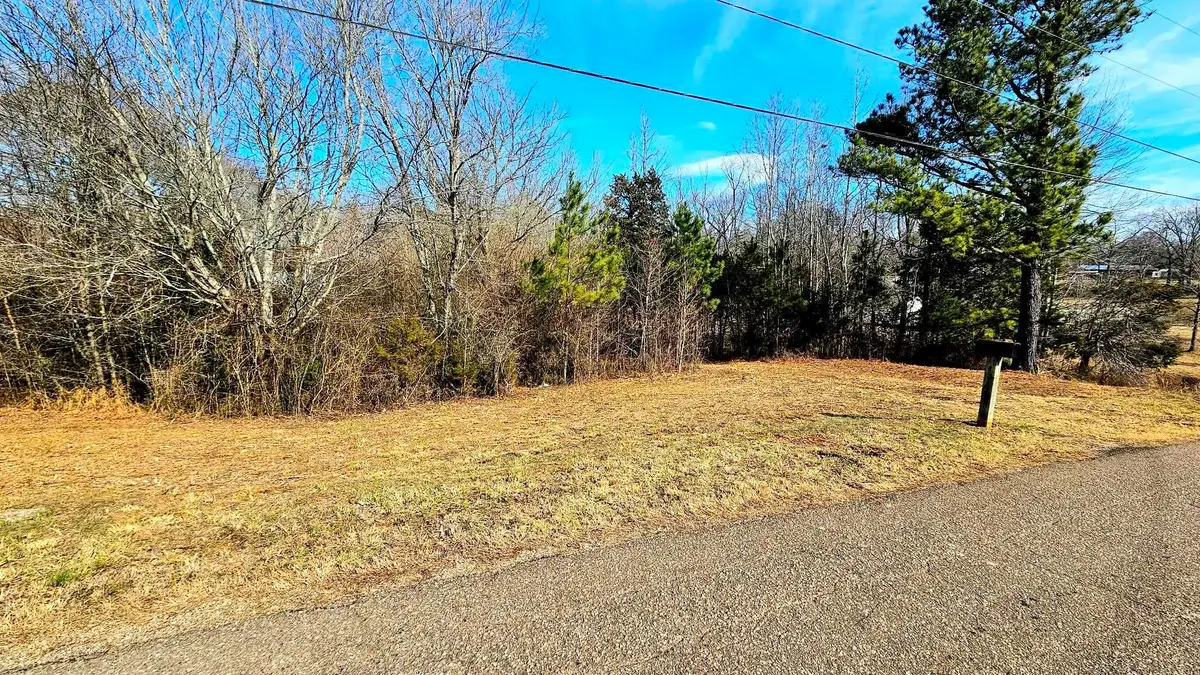 470 OLIVET DR, Savannah, TN 38372 - Image #1