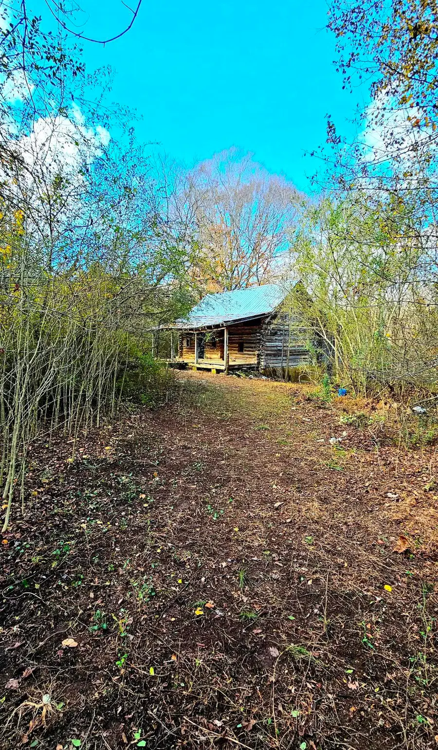 470 OLIVET DR, Savannah, TN 38372 - Image #3