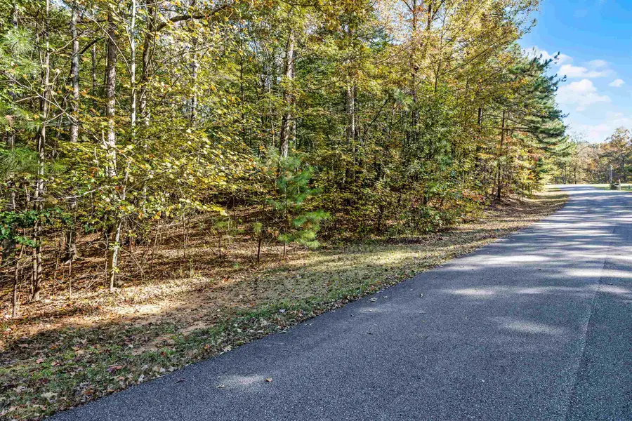 396,397,398 WINDWOOD DR, Counce, TN 38326 - Image #2