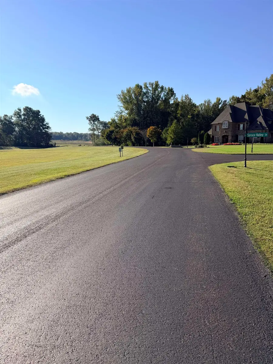 LOT 64 JACOBS RIDGE LN, Piperton, TN 38017 - Image #3